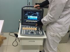 -中农大我爱我爱24h动物医院·中医针灸·猫专科·骨科医疗中心(双井店)