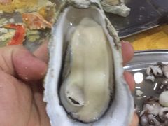 -蚝专家(北滘店)