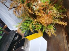 -Metal hands·铁手咖啡