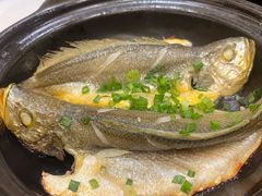 -稻香酒家·35年老字号(侨光店)