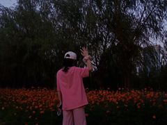 -艾溪湖湿地公园