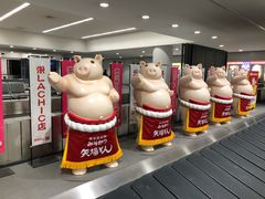-中部国际机场