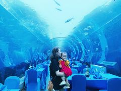 -海棠湾洲际-涛·海底餐厅·美人鱼·自助餐·海底隧道