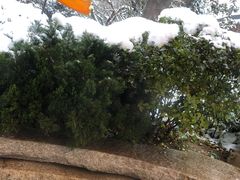 -西安华清御汤酒店