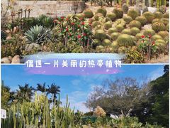-胡里山炮台