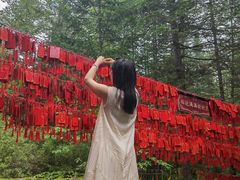 -汤旺河林海奇石景区