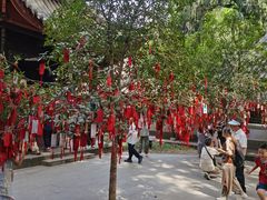 -子昂故里文化旅游区