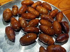 -原始泥炉烤肉(总店)