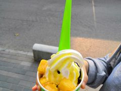 -Salud撒露欧洲冻酸奶(798艺术区店)