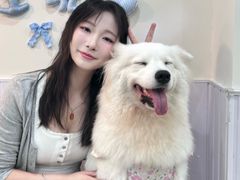 -汪说·狗咖·拼豆·宠物周边DIY(旺城大厦店)