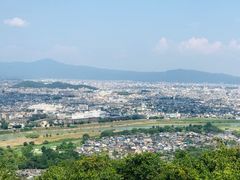 -岚山猴子公园