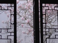 -耦园