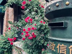 -锅炉咖啡
