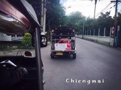 -清迈夜间动物园