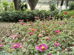 -怡海公园(桂城街道)