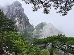 -黄山风景区