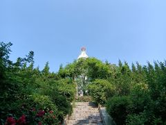 -烟台山景区