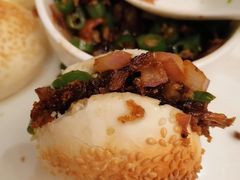 -大鸭梨烤鸭店(花园村店)
