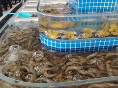 -万达文华酒店·48F云端窗景美食汇自助餐厅