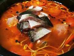 酸汤鱼火锅-猫爷的腔调·黔小馆(交大医学住宅区店)