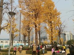 -两江幸福广场