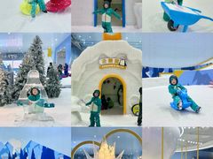 -深圳国际会展中心希尔顿酒店(前海华发冰雪世界店)