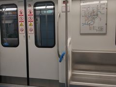 -大龙山(地铁站)