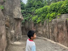 -成吉思汗公园
