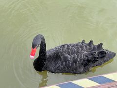 -宁波杭州湾国家湿地公园