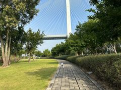 -芒洲湿地公园
