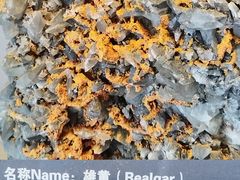 -房山世界地质公园博物馆