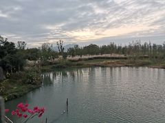 -三垟湿地