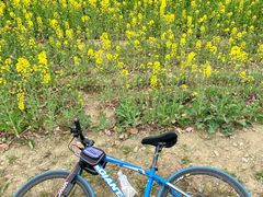 -白鹭湾湿地公园