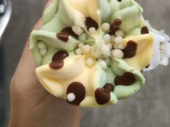 -大树下饭店(春晓镇慈岙社区卫生服务站南)