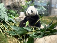 -香港海洋公园