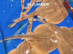 -三亚火车头万人海鲜广场