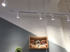 -夏树奶沫(杨柳青店)