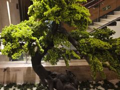 -华夏良子·足道SPA艾灸(翠微店)