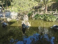 -国恩寺