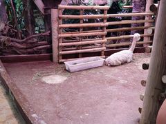 -正佳雨林生态植物园