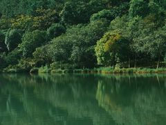 -广州白江湖森林公园