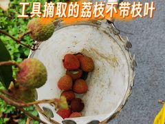 -长洲岛
