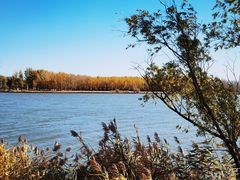 -野鸭湖国家湿地公园