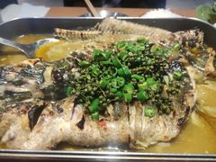鲜麻藤椒烤鱼-鱼酷活鱼烤鱼(信息城店)