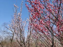 -南京市江宁方山