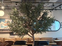 -Wagas沃歌斯(环贸店)
