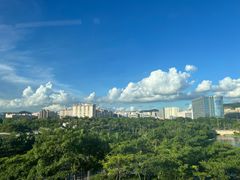 -宝安西湾红树林湿地公园