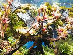 -海合安青岛极地海洋公园