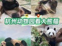 -杭州动物园
