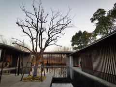 -木守西溪溪隐餐厅